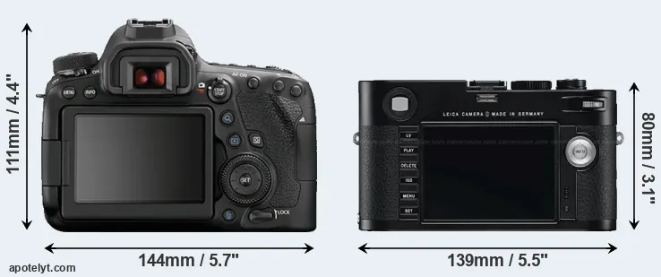 Comparison 6D Mark II or M Typ 240 rear