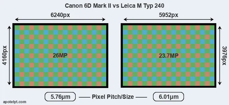 6D Mark II versus M Typ 240 MP