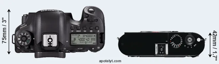 Compare 6D Mark II versus M Typ 240 top