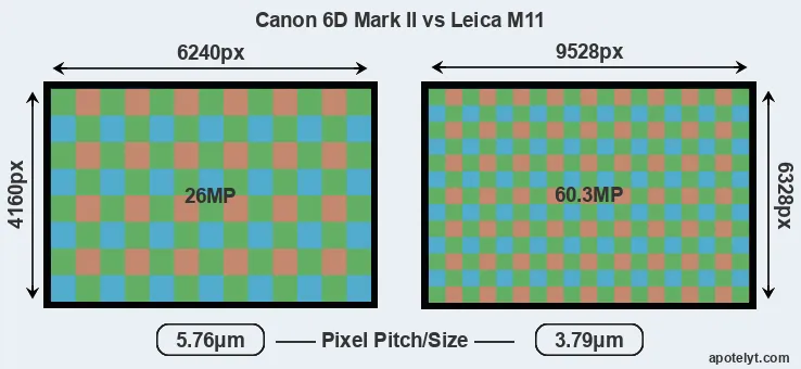 6D Mark II versus M11 MP