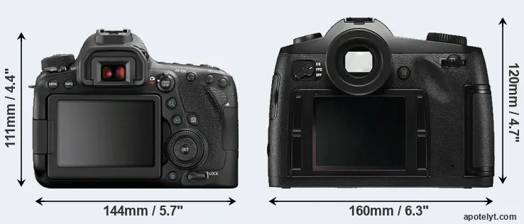Comparison 6D Mark II or S Typ 006 rear