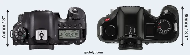 Compare 6D Mark II versus S Typ 006 top