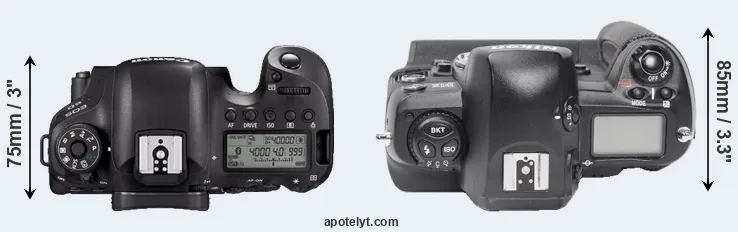 Compare 6D Mark II versus D1X top