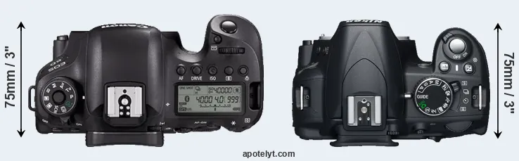 Compare 6D Mark II versus D3100 top