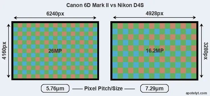 6D Mark II versus D4S MP