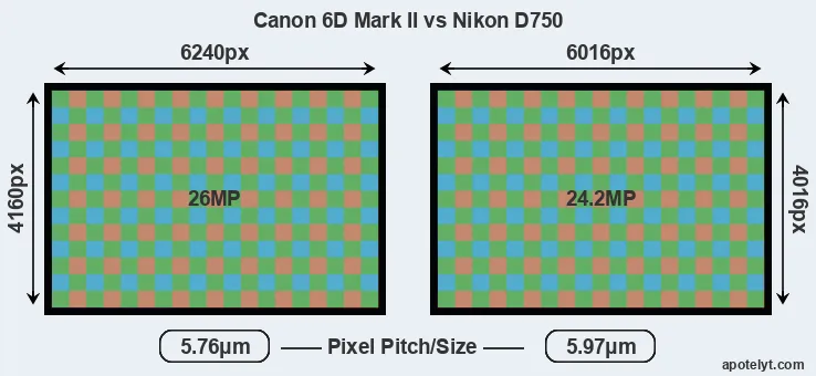 6D Mark II versus D750 MP