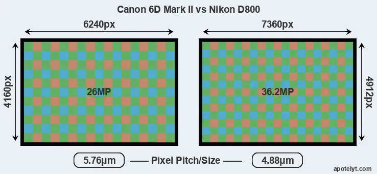 6D Mark II versus D800 MP