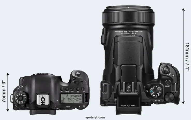 Compare 6D Mark II versus P1000 top