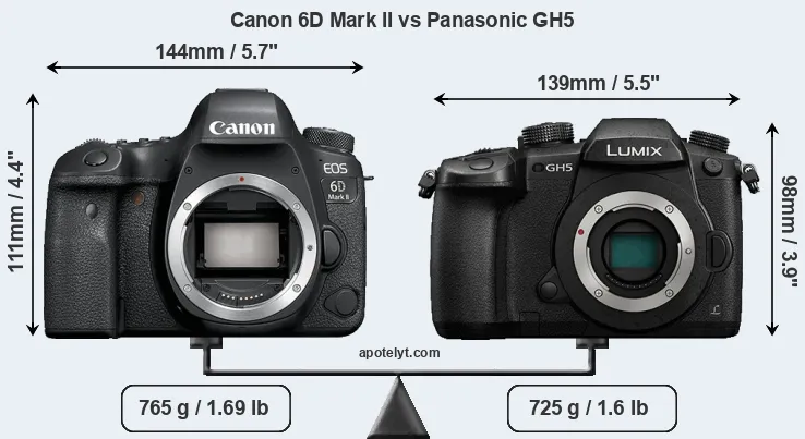 Size Canon 6D Mark II vs Panasonic GH5