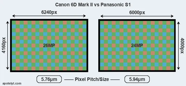 6D Mark II versus S1 MP