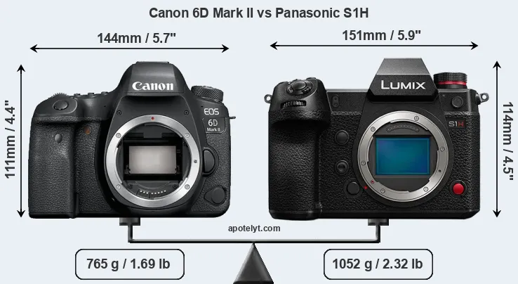 Size Canon 6D Mark II vs Panasonic S1H