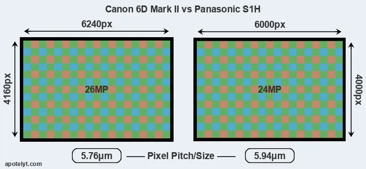 6D Mark II versus S1H MP