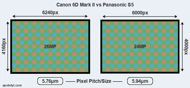 6D Mark II versus S5 MP