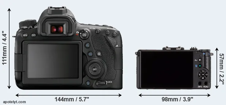 Comparison 6D Mark II or Pentax Q rear