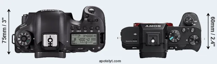 Compare 6D Mark II versus A7R II top