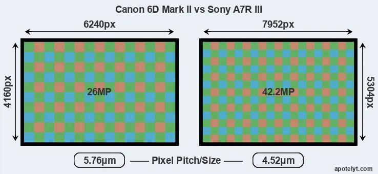 6D Mark II versus A7R III MP