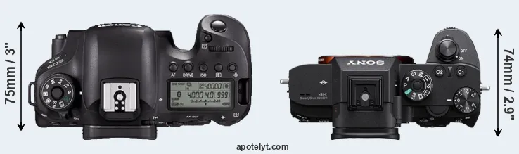 Compare 6D Mark II versus A7R III top