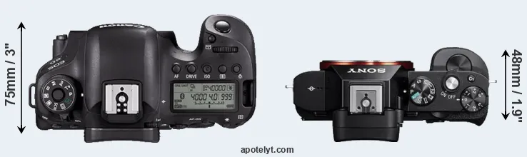 Compare 6D Mark II versus A7R top