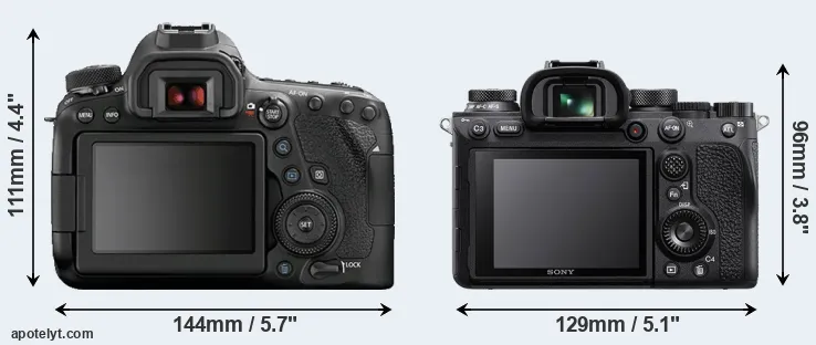 Comparison 6D Mark II or A9 II rear