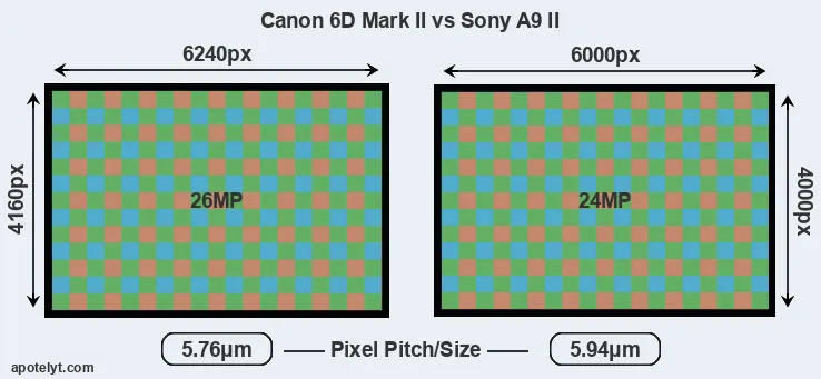 6D Mark II versus A9 II MP