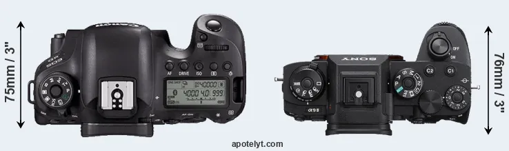 Compare 6D Mark II versus A9 II top