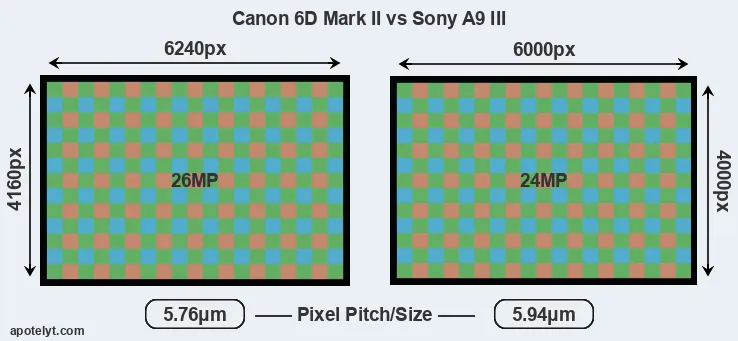 6D Mark II versus A9 III MP