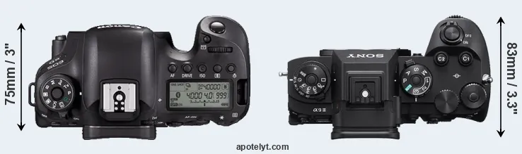 Compare 6D Mark II versus A9 III top