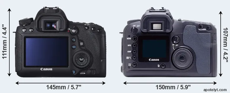 Comparison 6D or D60 rear