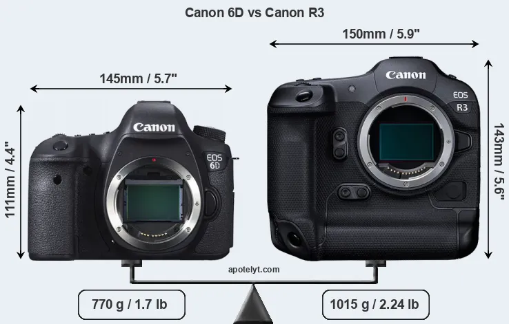 Size Canon 6D vs Canon R3