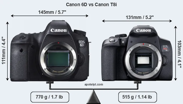 Size Canon 6D vs Canon T8i