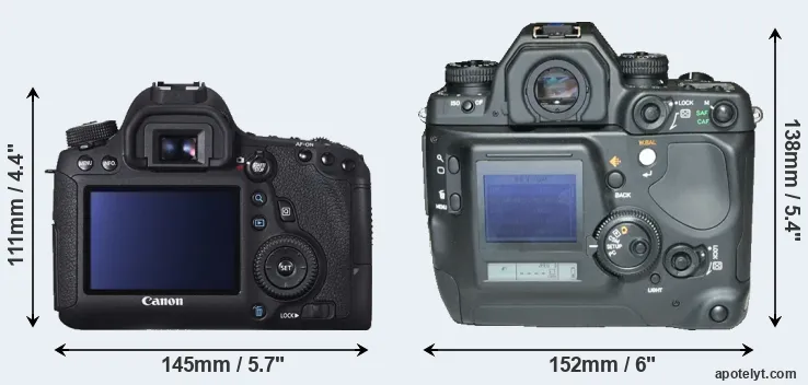 Comparison 6D or N Digital rear