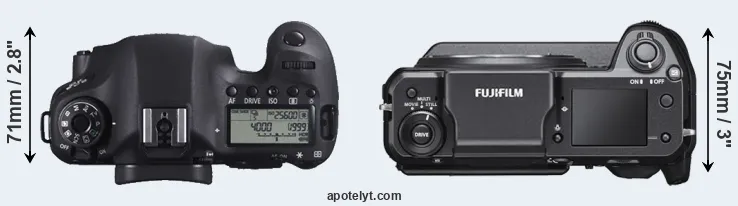 Compare 6D versus GFX 100 top