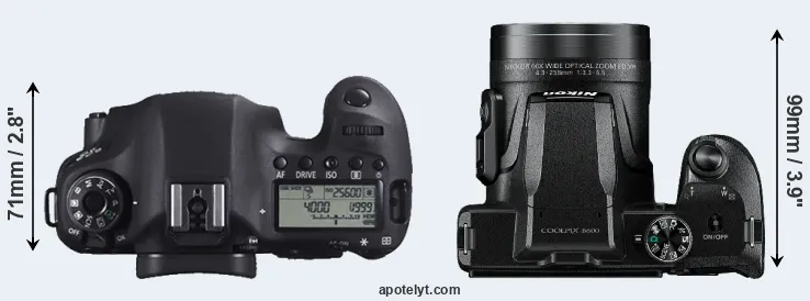 Compare 6D versus B600 top