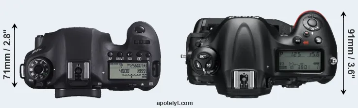 Compare 6D versus D4 top