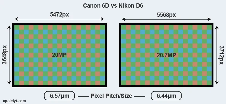 6D versus D6 MP