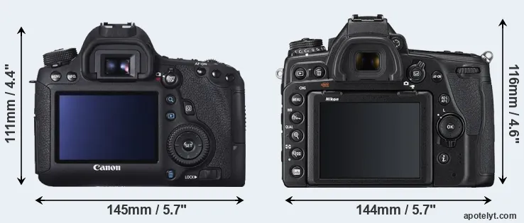 Comparison 6D or D780 rear