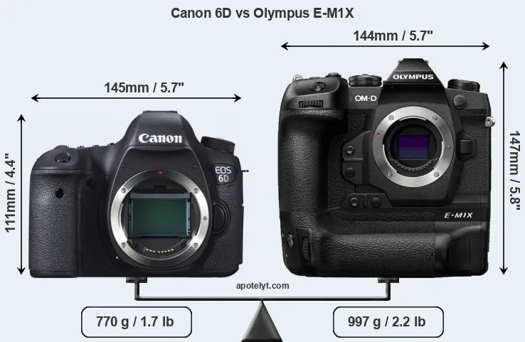 Size Canon 6D vs Olympus E-M1X