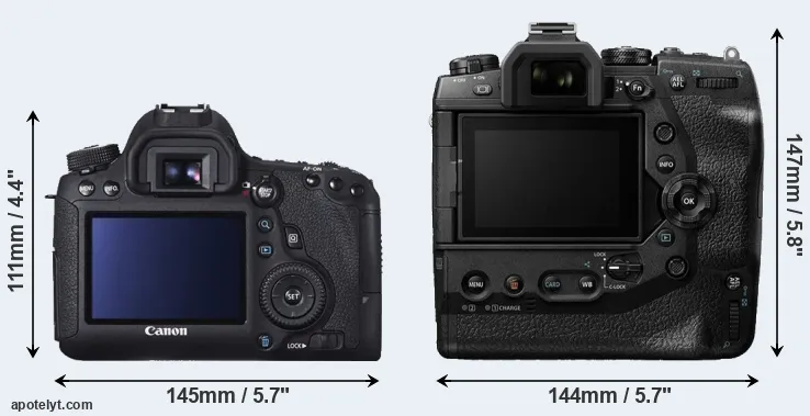 Comparison 6D or E-M1X rear