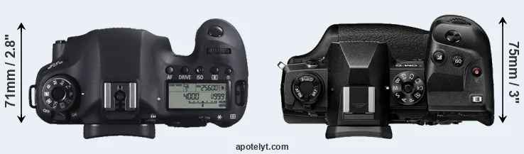 Compare 6D versus E-M1X top