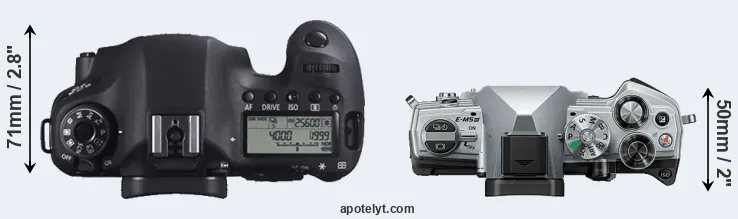 Compare 6D versus E-M5 III top