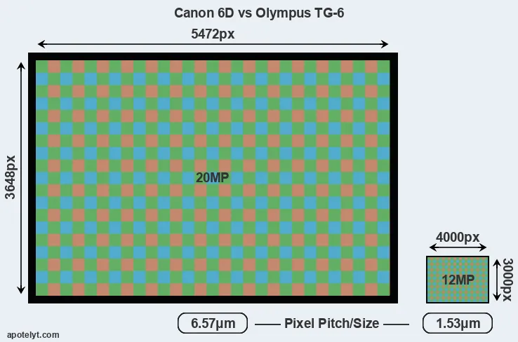 6D versus TG-6 MP