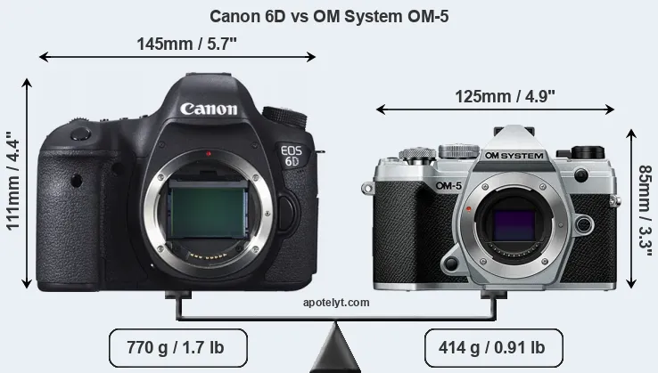 Size Canon 6D vs OM System OM-5