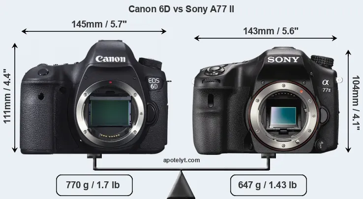 Size Canon 6D vs Sony A77 II