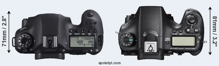 Compare 6D versus A77 II top