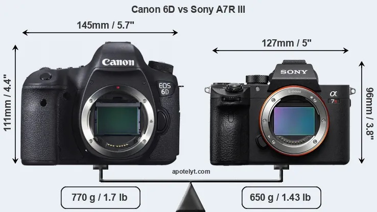 Size Canon 6D vs Sony A7R III
