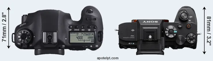 Compare 6D versus A7S III top