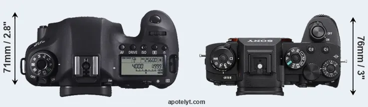 Compare 6D versus A9 II top