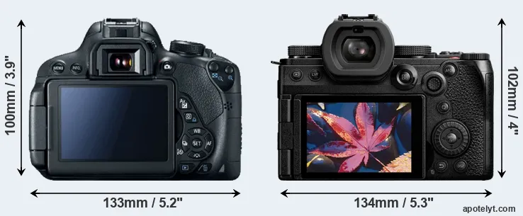 Comparison 700D or S5 II rear