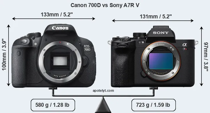 Size Canon 700D vs Sony A7R V