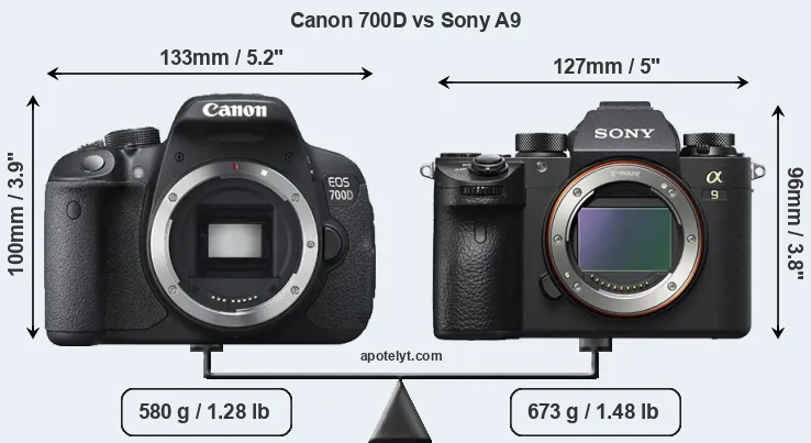Size Canon 700D vs Sony A9